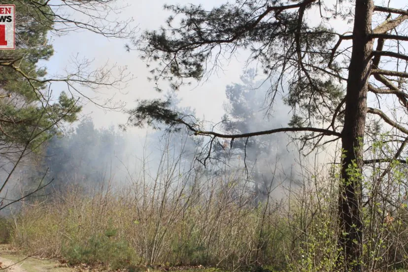 20170409 natuurbrand schelmseweg rozendaal 001