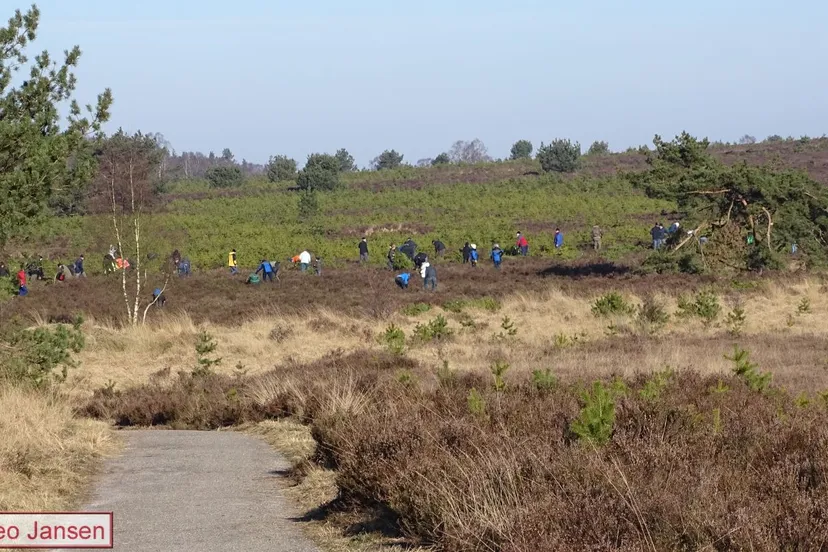 2018 02 24 heidewerkdag 21