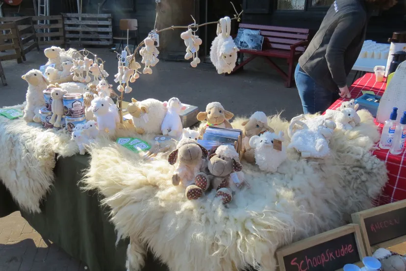 2019 02 27 rachel rosier adoptie rhedense schaapskudde042