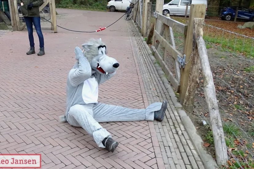 2021 11 12 wolven werend raster schaapskooi rheden officieel in gebruik genomen 1 1