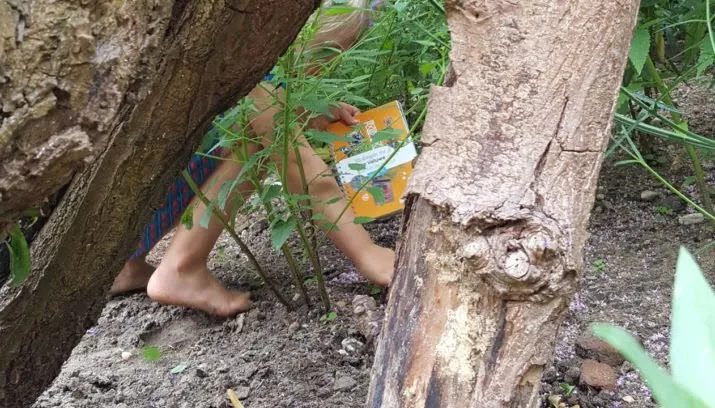 50 dingenboek ivn gelderland