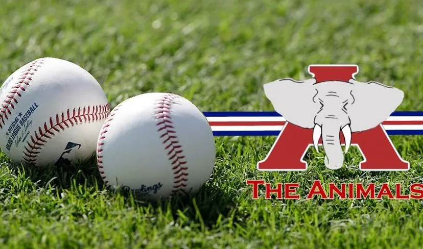 578772 338465796216580 1887538059 n 2