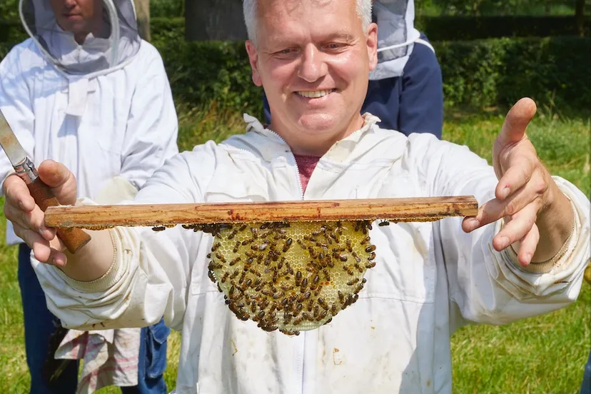 5fea5d10 ea42 4663 b444 8092da29e975