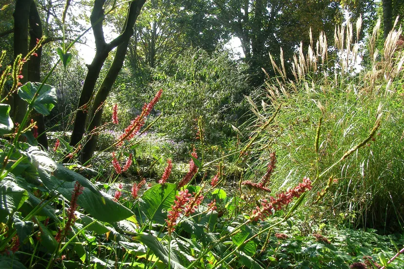 99d31aaa a2cf 41bb 9629 06480b016be3