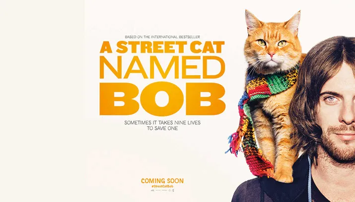 a street cat named bob