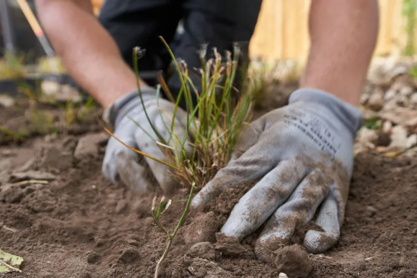 aan de slag met een levende tuin ivn gelderland2