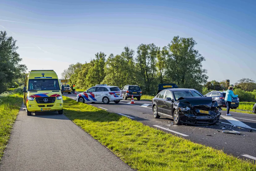 aanrijding nadat gans met kuikens oversteekt in ellecom persbureau heitink 1