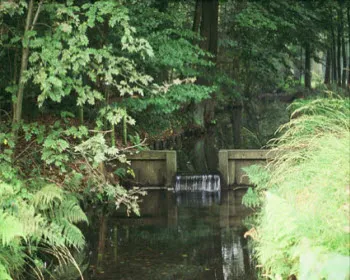 aawwm1jm9vm5rbzdglfge6isy 221346