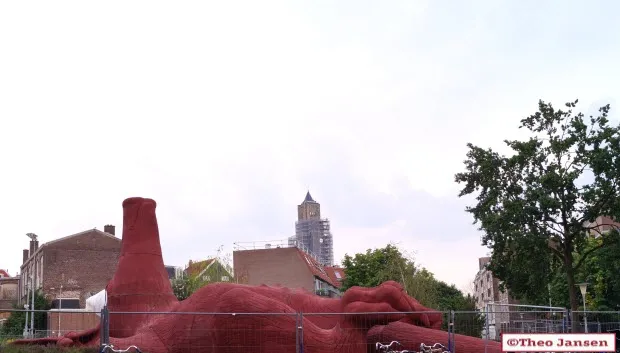 ab5dcl2xmnqsk6ad2lqll8il0 aardvarken 006 2