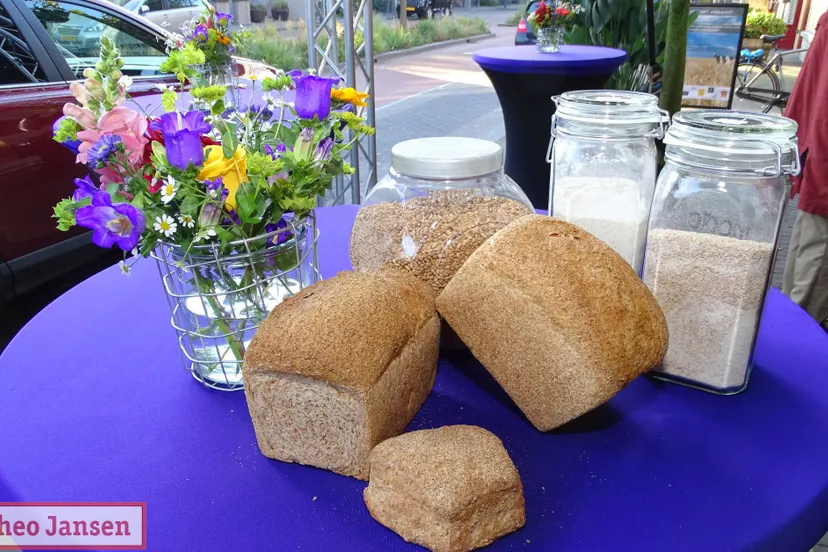 abachtsmarkt bakkerij borggreve ossendaaler 05 10 2019 14