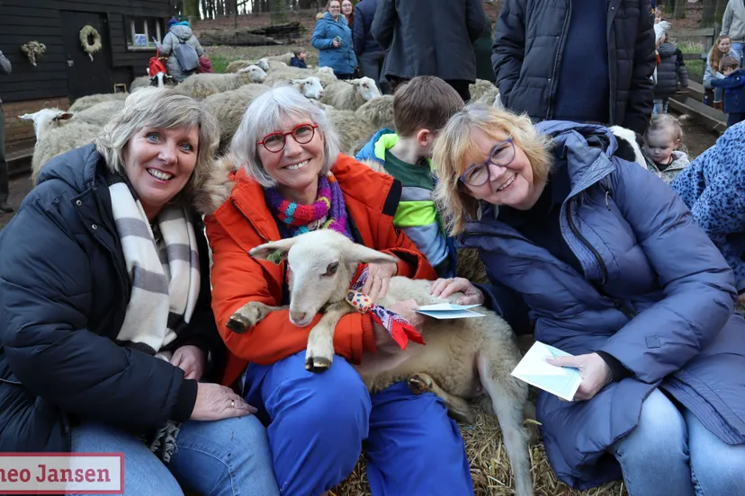 adoptie 1e lammetje kroesje rhedense schaapskudde 06 03 2024 1