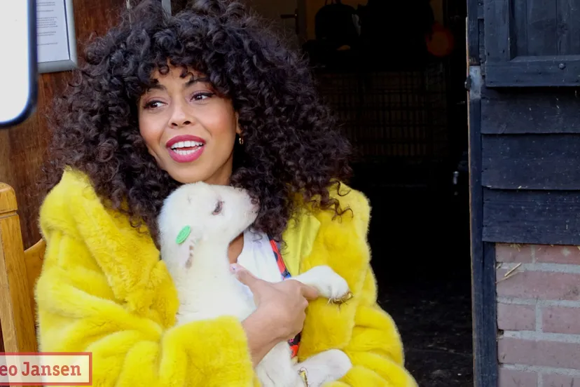 adoptie lammetjerhedense schaapskudde fenna ramos 19 02 2020