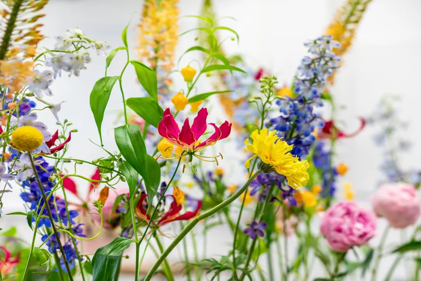 aeres velp floral education centre