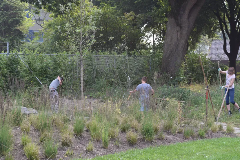 aeres velp marjanne eikelboom