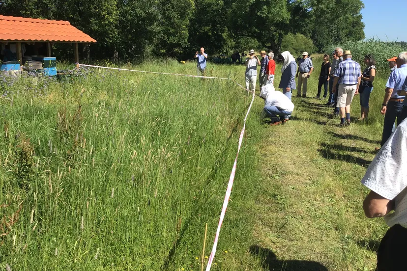 afa91373 5aee 46da 8ca4 038704d347d8