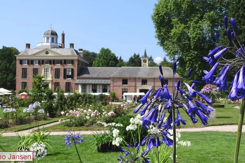 agapanthus en kasteeltuinenmarkt 2018 1