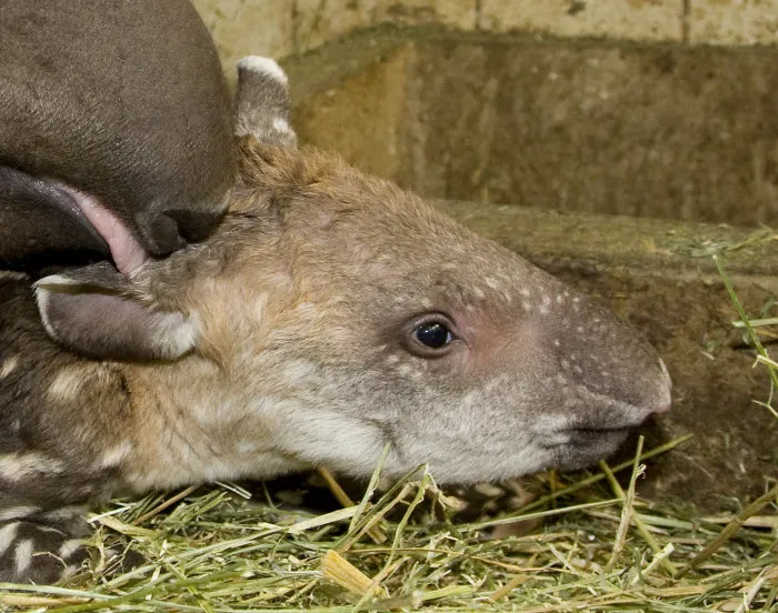 alkzowu6ftor36vdxkdb5wb0d 226570