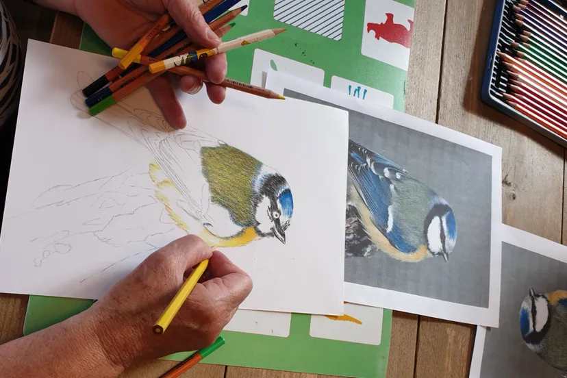 anglique krijnen schilderen met kleurpotloden