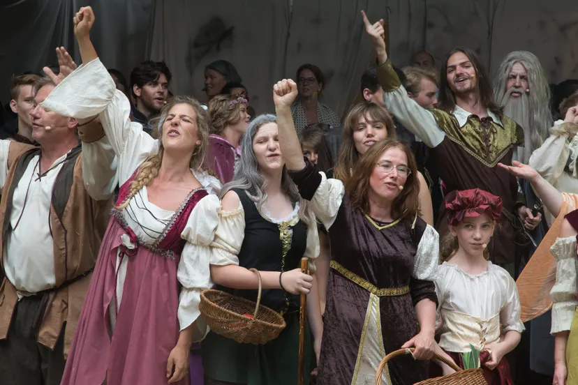 ann meander rhedelijk cultureel