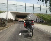 aoa0qxord6gp6mpeyfmi3661b 155096