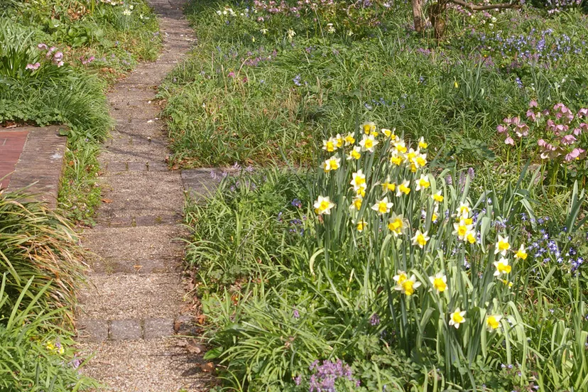 april 1 2021 tineke makel