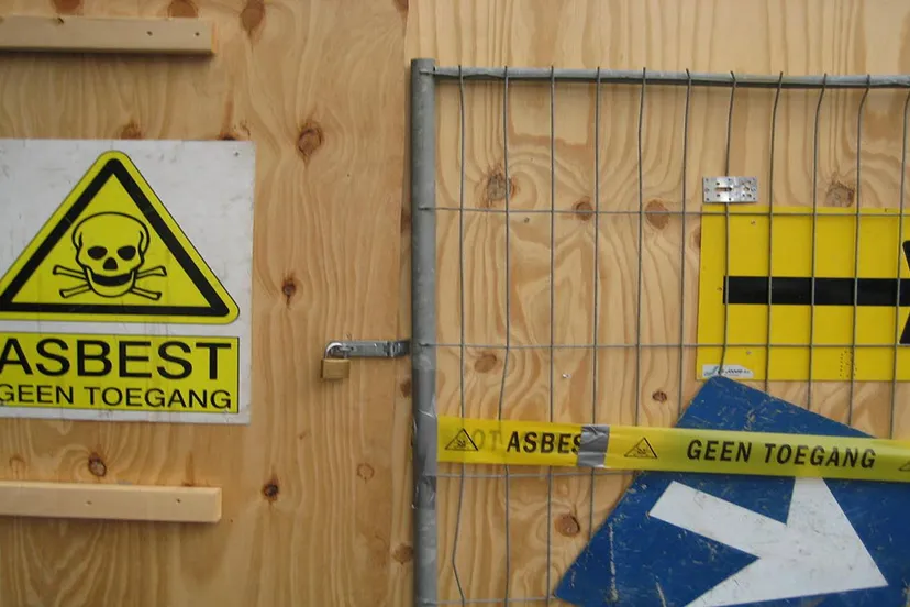 asbest larixk on foter