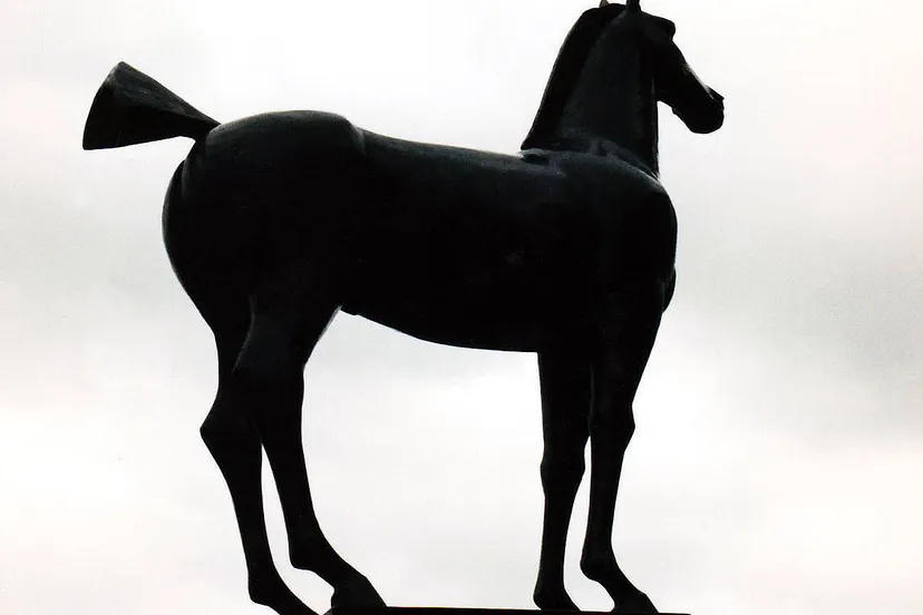 aus9v6lao9bnqljjnsxhn8fub paard 20