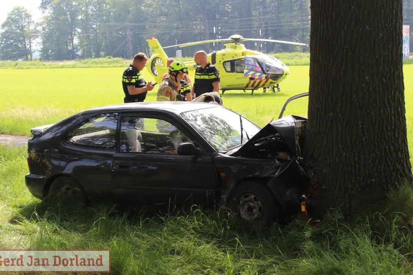 auto tegen boom in velp bestuurder naar ziekenhuis hond naar opvang 19 05 2024 1