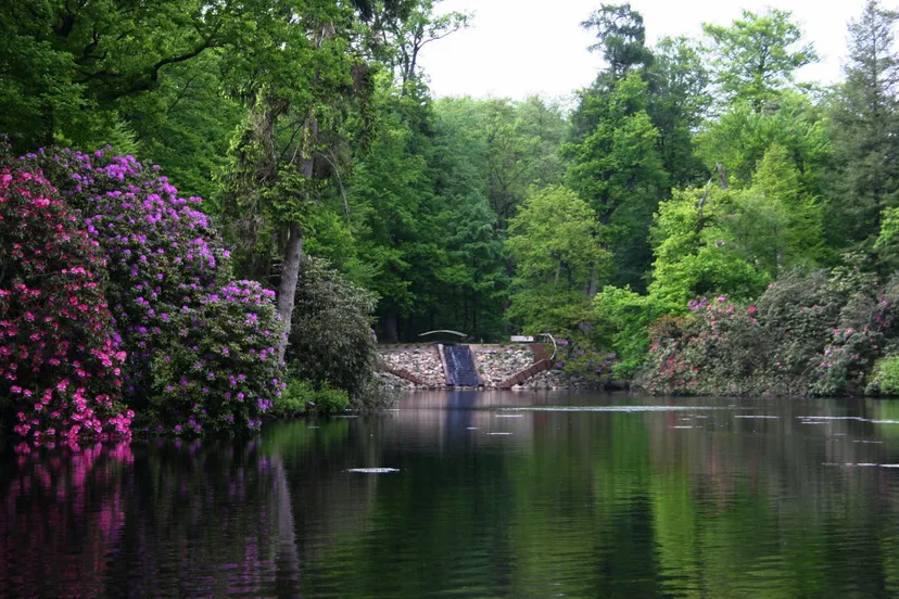 axai8txz0det0xouzmw616qru beekhuizenmarie thrse te bulte