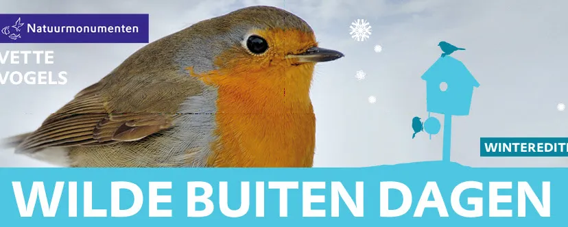 b2js22r9oer6m8k3otwzl2u5x wildebuitendagen