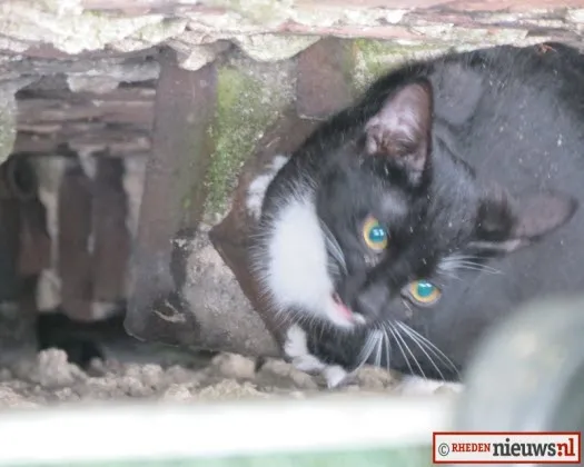 b9dfvho3jakaed0w7y491439l 212387