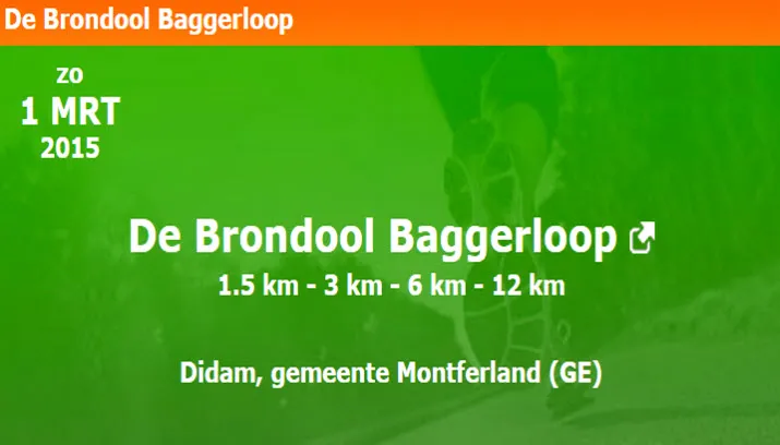 baggerloop didam