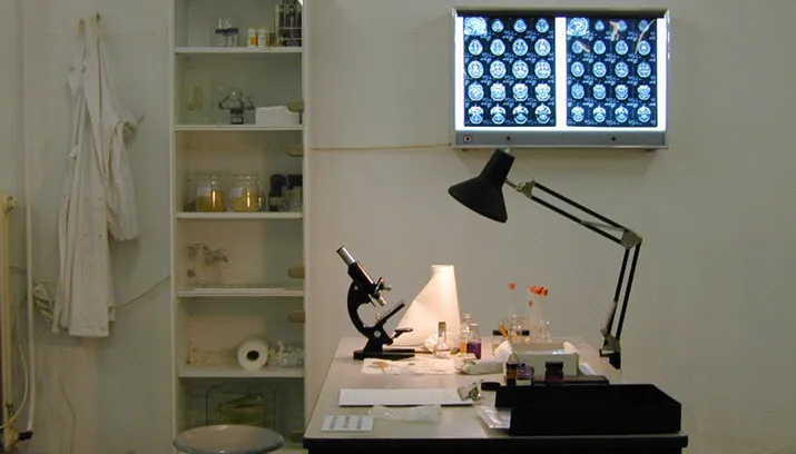 baijg via fotercom cc by nd