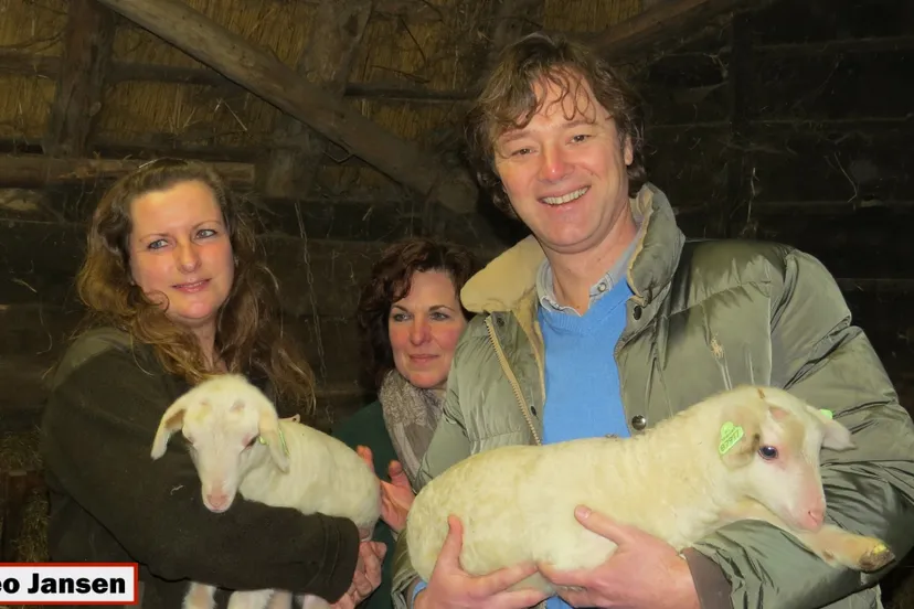 bapaj5a5rgqvyre25896erhp2 heuvenseweg 12 2 14 015