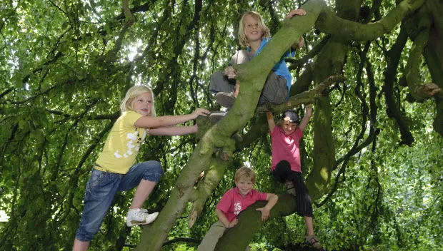 bdkyal1yedkum4scuhcelvpu7 rheden nm veluwezoom andrea denotti niet vrij