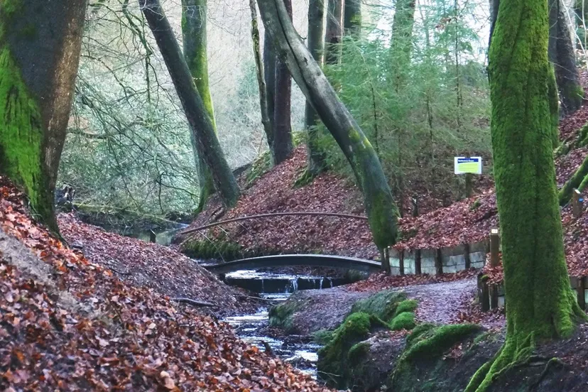 beekhuizense beek corlne van der kamp