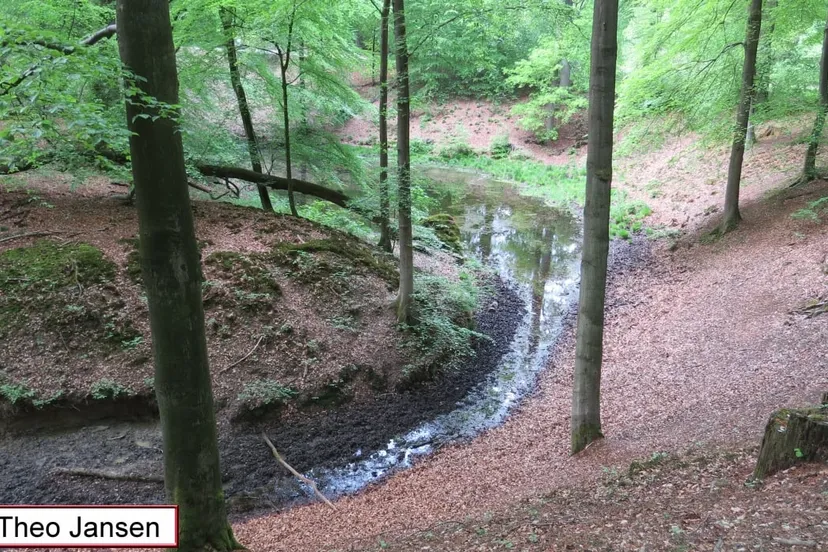 beekhuizenseweg 21 5 15 005