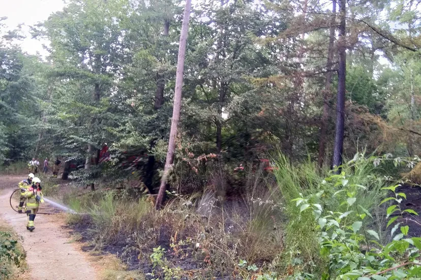 bermbrand a12 velp larenstein 6