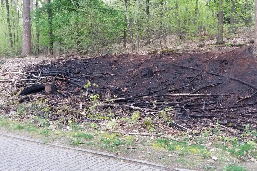 bermbrand kluizenaarsweg velp 0