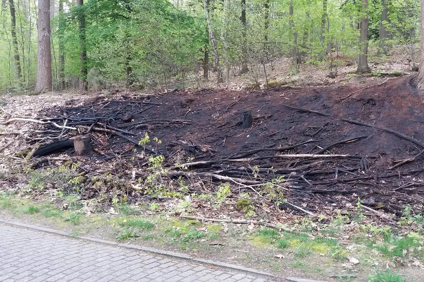 bermbrand kluizenaarsweg velp 0