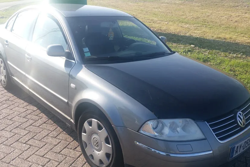 beroving bejaarde vrouw velp1