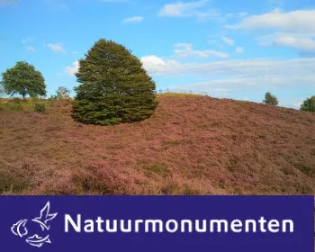 bihcgfauyrg6m9nqlekkrpoki 163750