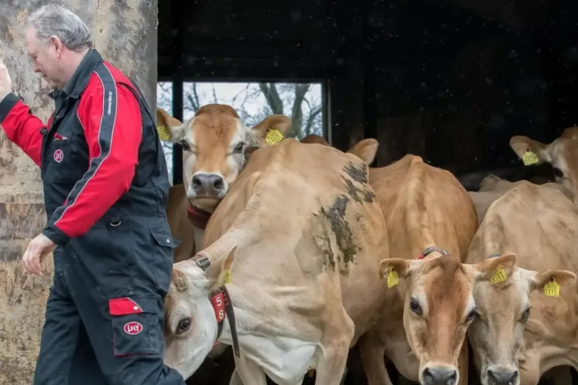 biologische boerderijwinkel de nieuwenburgt1