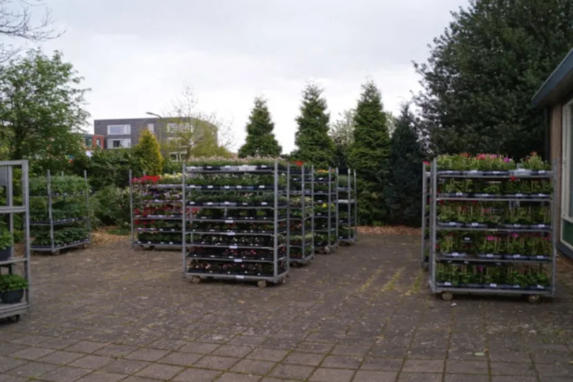 bloemenactie rhedens fanfare corps