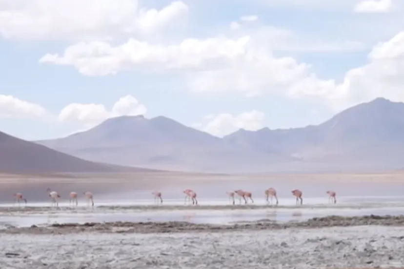 bolivia still youtube