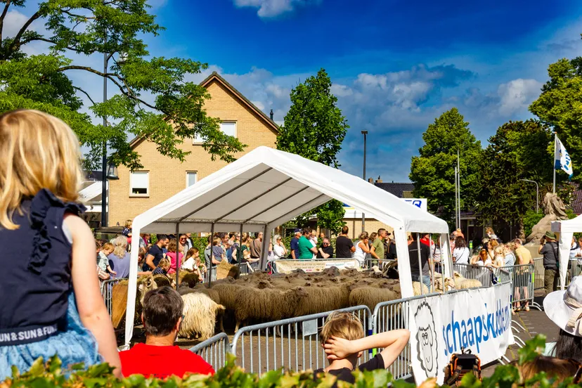 bonte schaap festival 2022 vincent riebroek