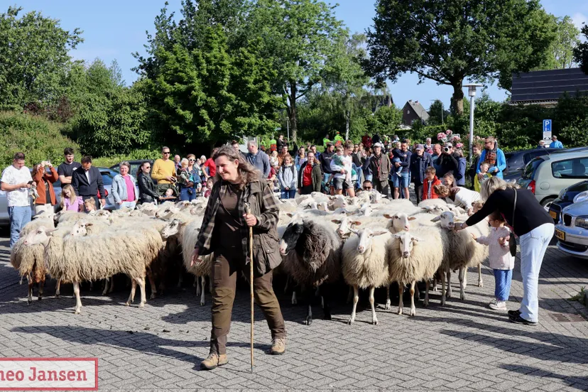 bonte schaap festival 2024 1