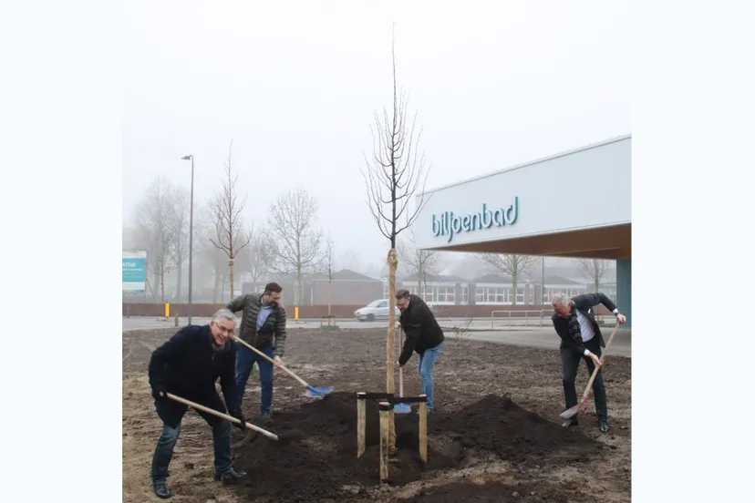 boom biljoenbad velp gemeente rheden