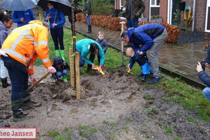 boomfeestdag 2019