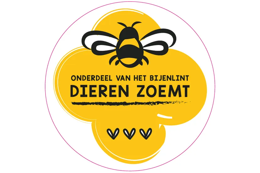 bord bijenlint dieren zoemt